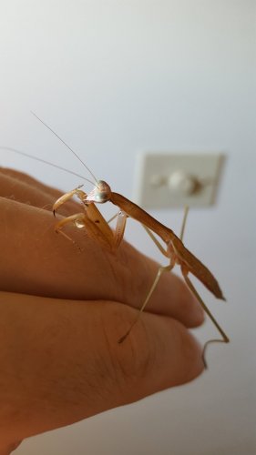 20160627_185712.jpg