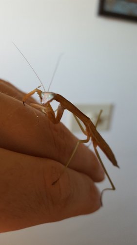 20160627_185726.jpg