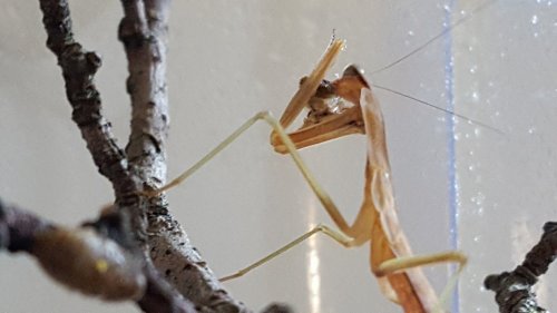 20160627_194223.jpg