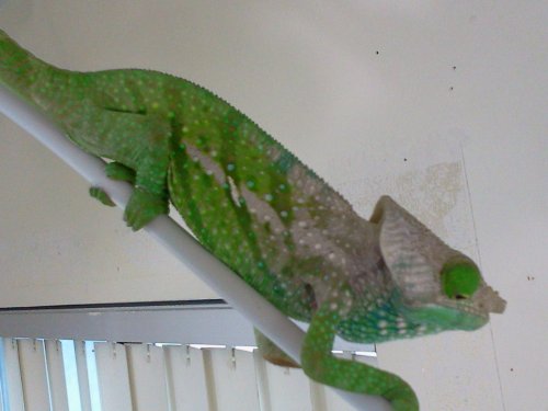 2016-07-03 19.06.18.jpg