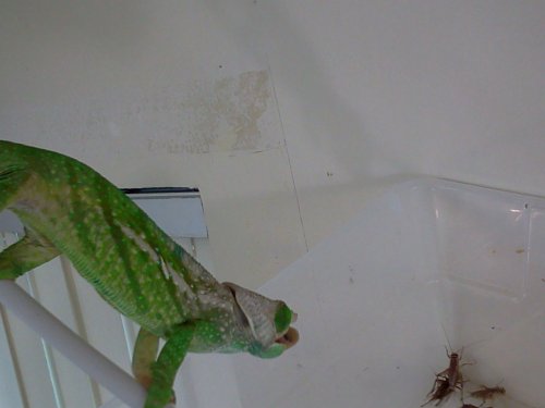 2016-07-03 19.05.34.jpg