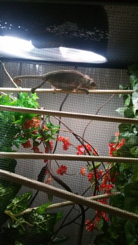 20160704_121231.jpg