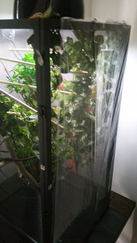 20160704_121236.jpg