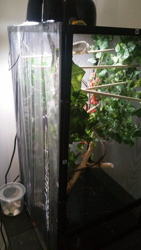 20160704_121242.jpg