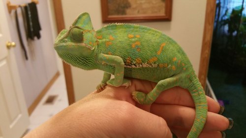20160505_174226.jpg