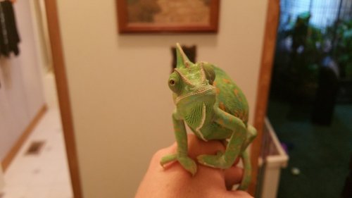 20160505_174237.jpg