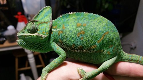 20160611_071757.jpg