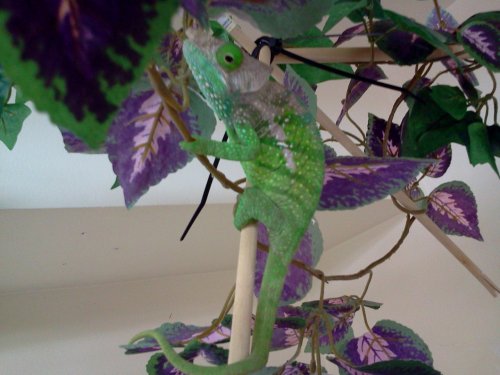 2016-07-05 20.02.20.jpg