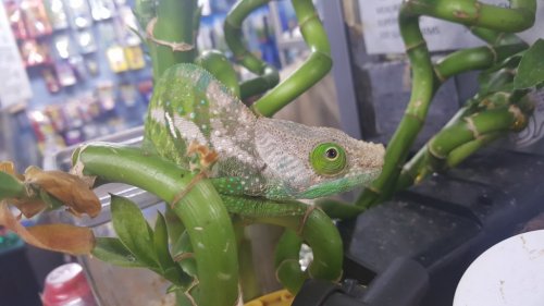 20160706_102303.jpg
