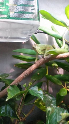 he doesnt want me in there.jpg