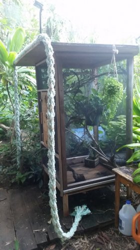 20160709_070110.jpg