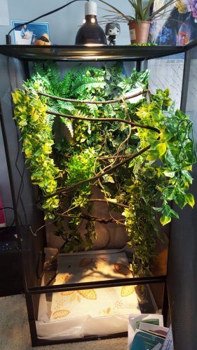 20160701_092857.jpg