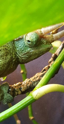 20160712_094118.jpg