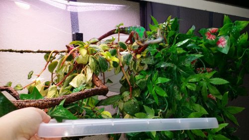 20160718_114425.jpg