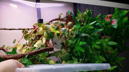 20160718_114428.jpg