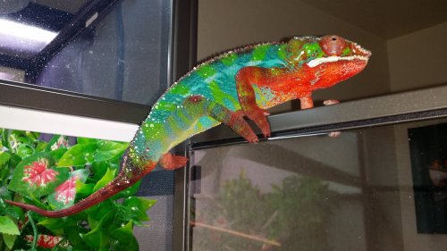 20160718_114610.jpg