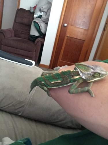image.jpeg