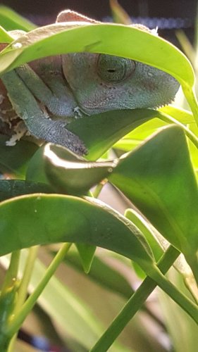 20160724_162730.jpg