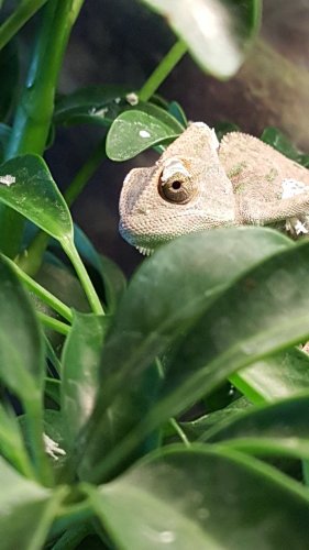 20160724_162752.jpg