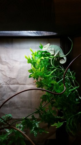 20160718_201549.jpg