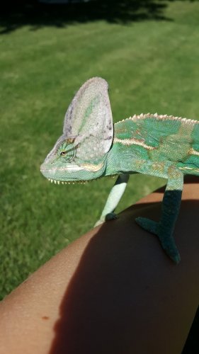 20160718_162322.jpg