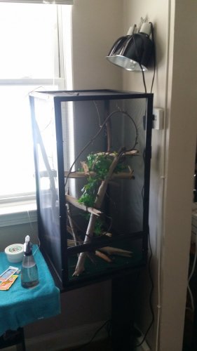20160730_143154.jpg
