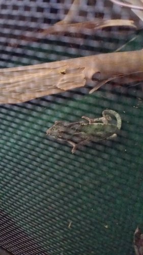 20160730_143242.jpg