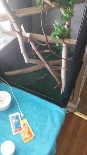 20160730_143249.jpg