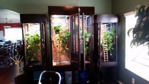 20160715_091518.jpg
