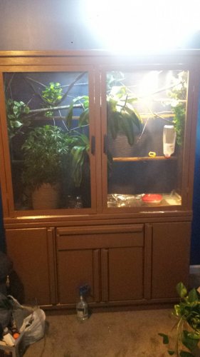 20160807_154659.jpg