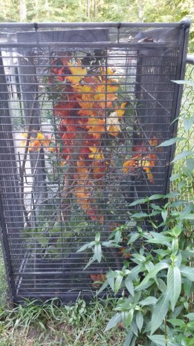 20160807_184421.jpg