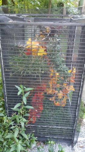 20160807_184430.jpg