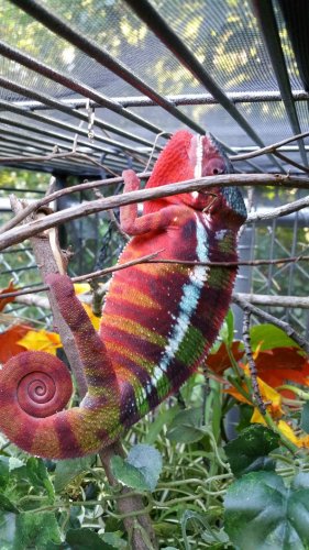 20160807_184454.jpg