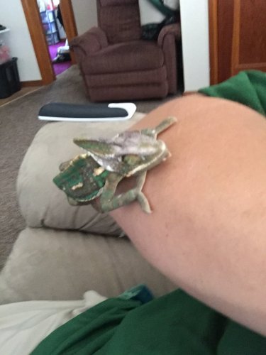 image.jpeg