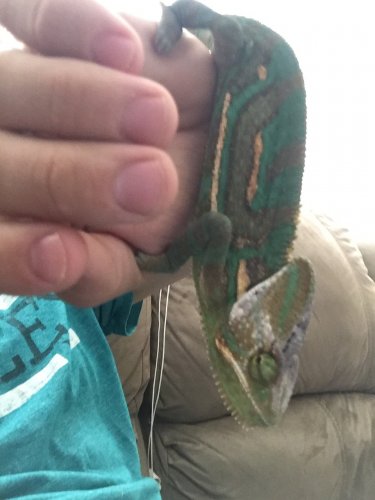 image.jpeg