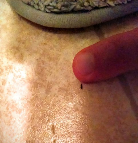 IMG_20160810_194253103.jpg