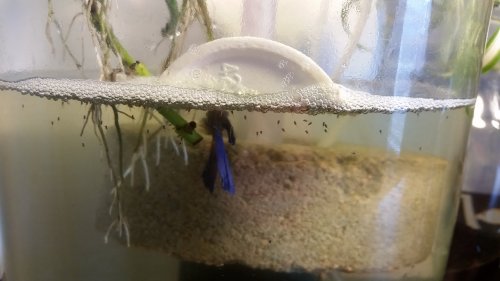 20160527_115237.jpg