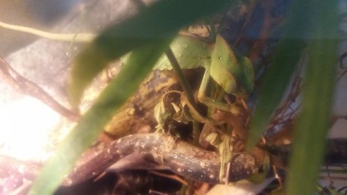 20160814_124522.jpg