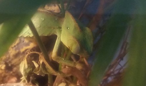 20160814_124522-1.jpg