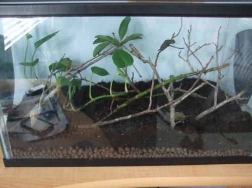 Clea 3-28-10 005.jpg