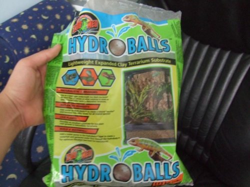 Clea 3-28-10 007.jpg