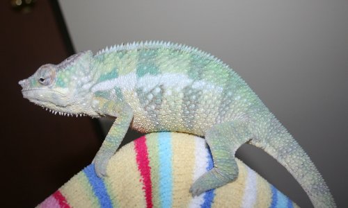 IMG_0714.jpg