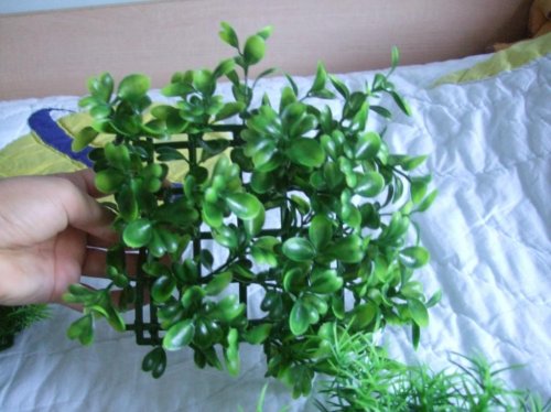 Clea 3-28-10 013.jpg