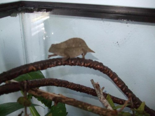 Payton and Luna 003.jpg