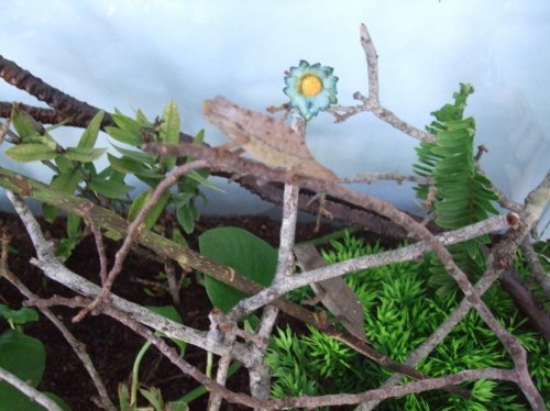 Payton and Luna 007.jpg