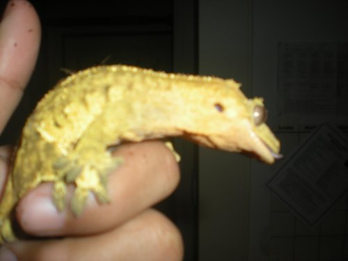 DSCN0723.jpg