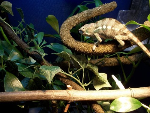 100_3219.jpg