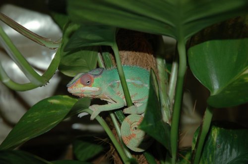 DSC_1267.jpg
