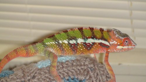 Picture 6-29-09 883.jpg