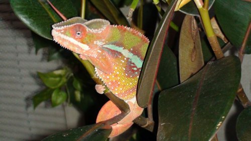 Picture 6-29-09 972.jpg